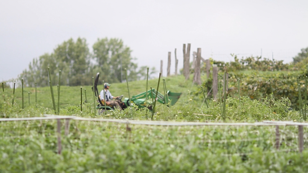 sb-tractor-in-feild-1