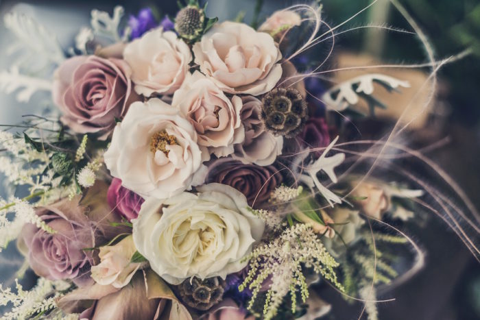 flower-expert