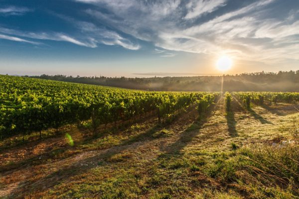 tuscany-428041_1920