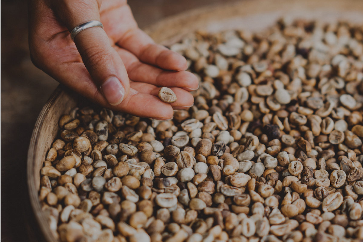 The Renewal Mill grains