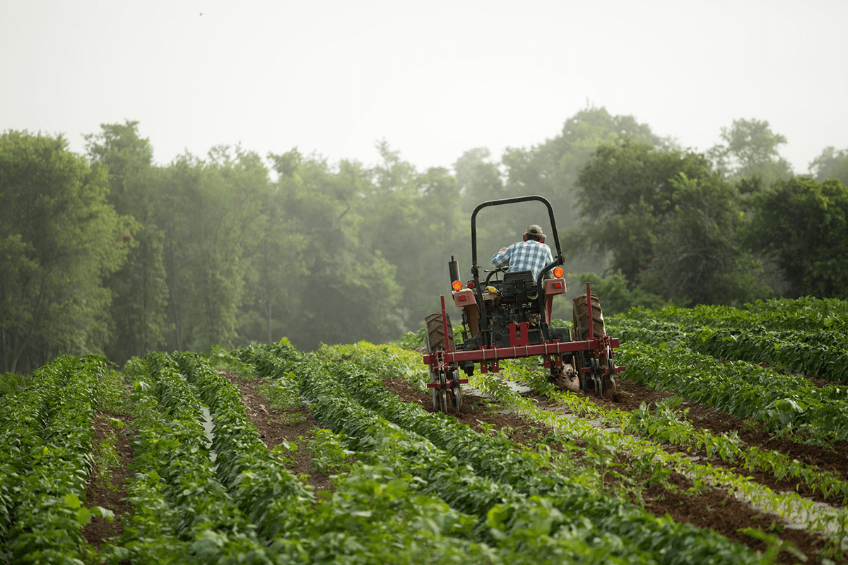 GrownBy is an initiative founded by Farm Generations Coop