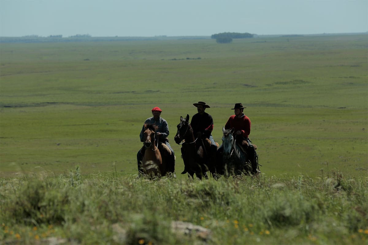 Raising cattle the gaucho way