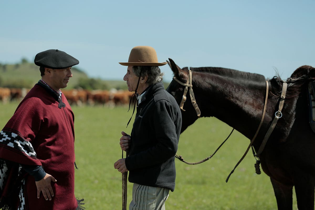 The Gaucho way is better for the animals and planet