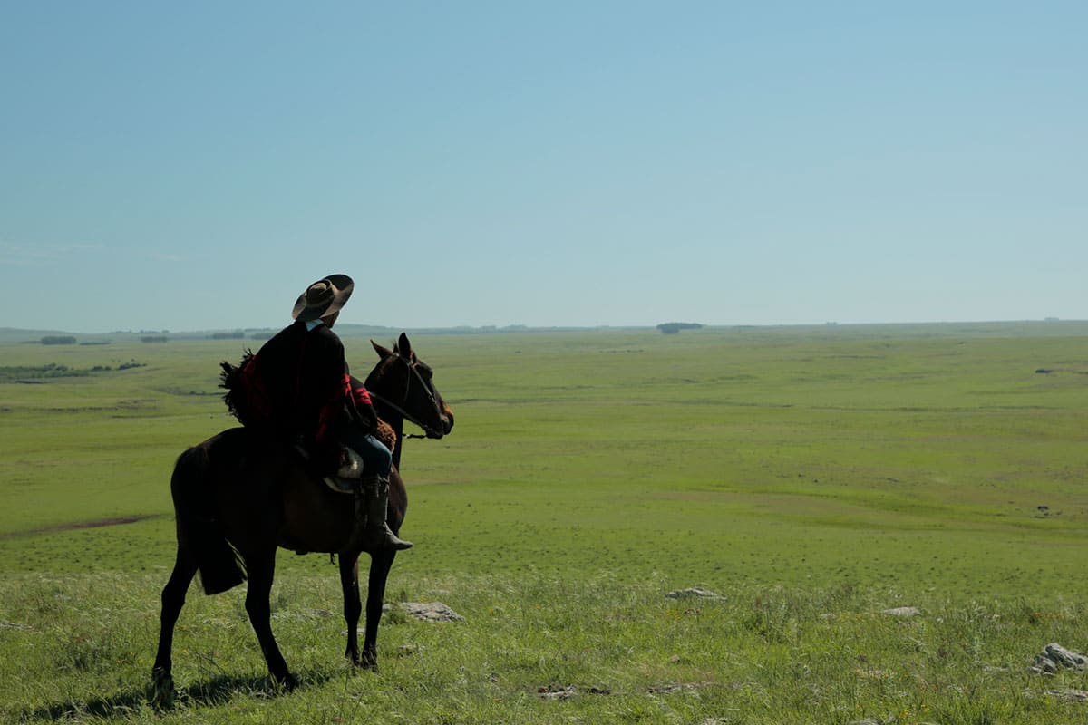 The Gaucho way is better for the animals and planet