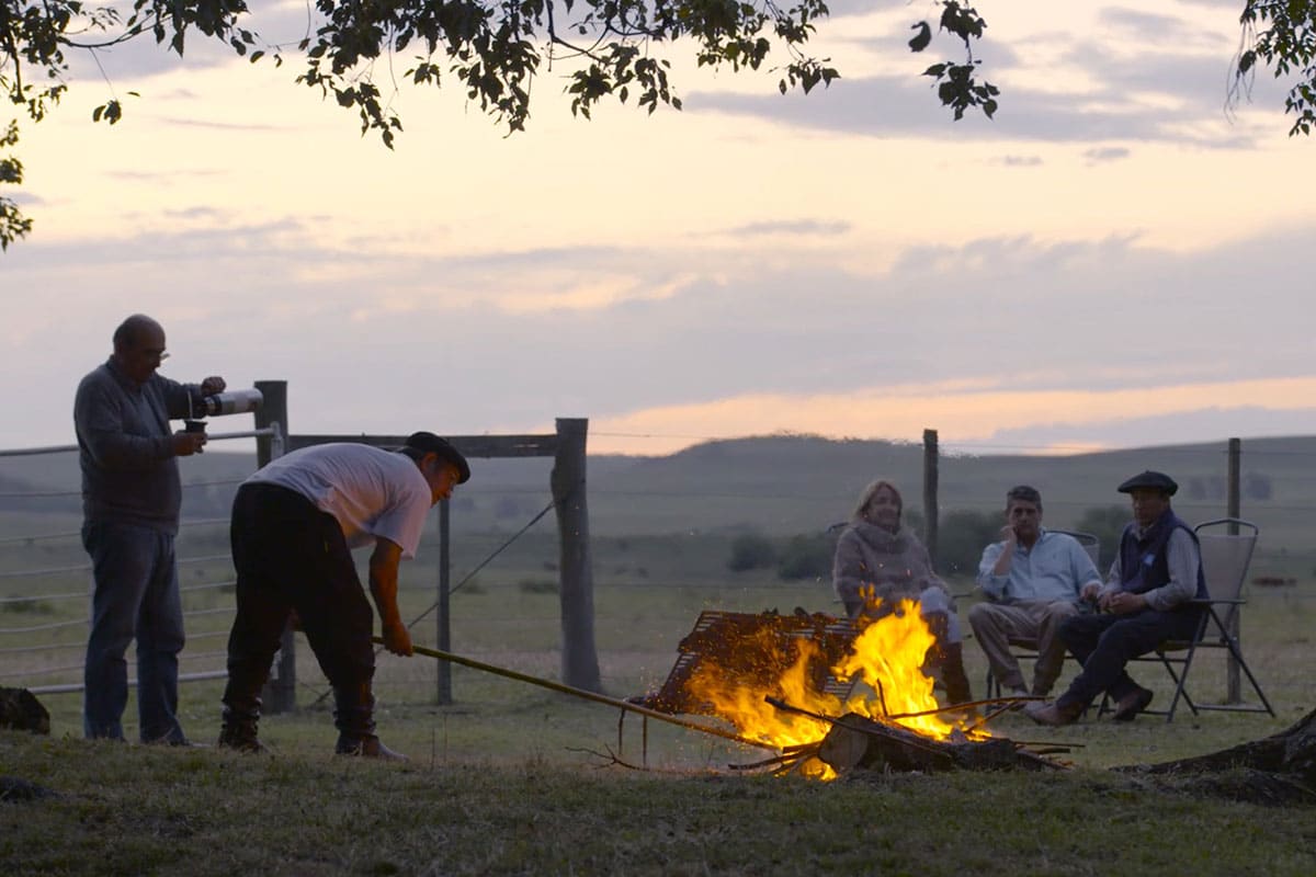 Verde Farms are raising cattle sustainably 