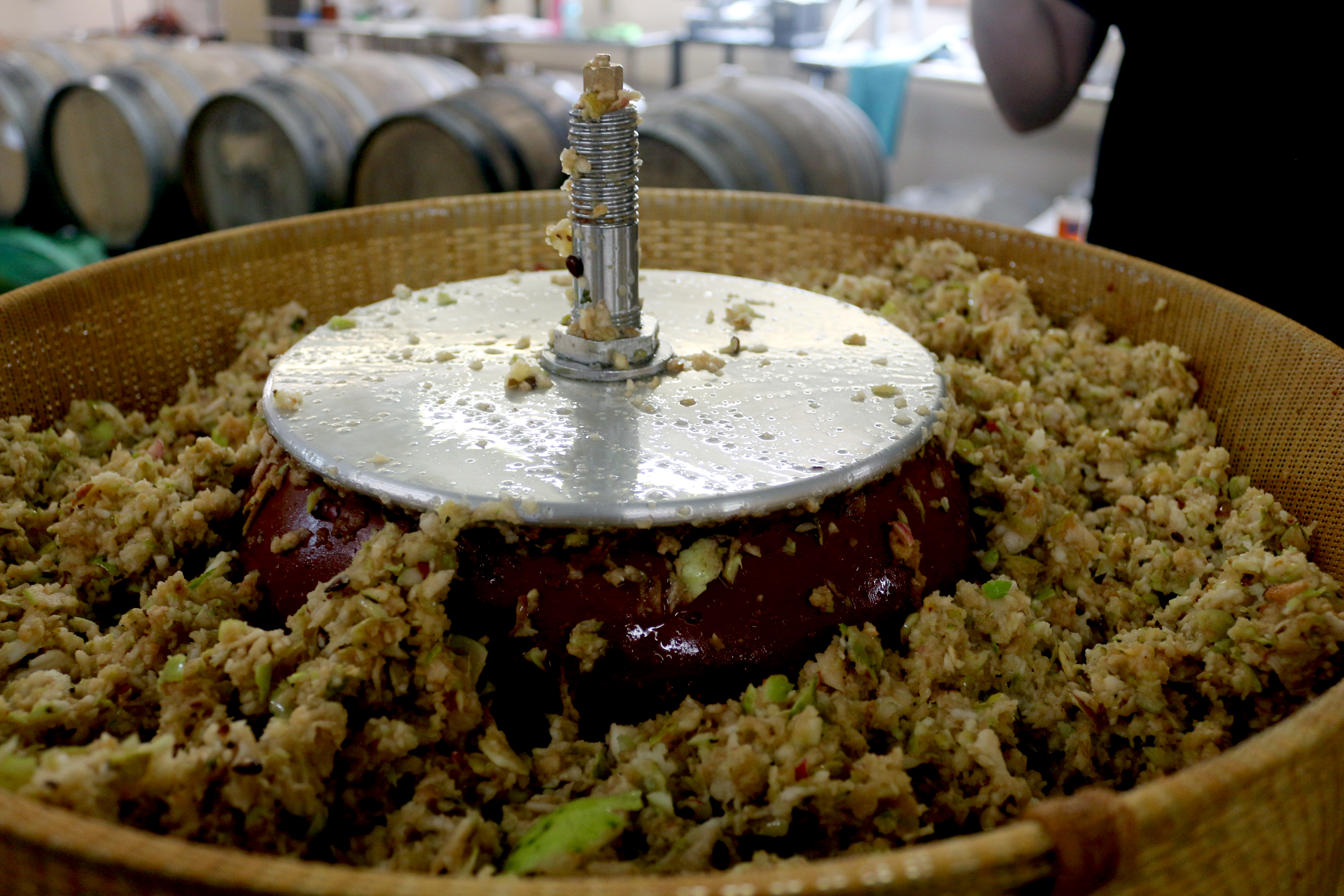 Image of machine being used to crush the apples to make cider. 